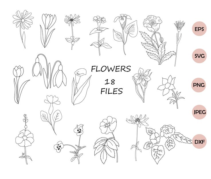 Flowers Svg Botanical Svg Floral Svg Files for Cricut | Etsy | Create