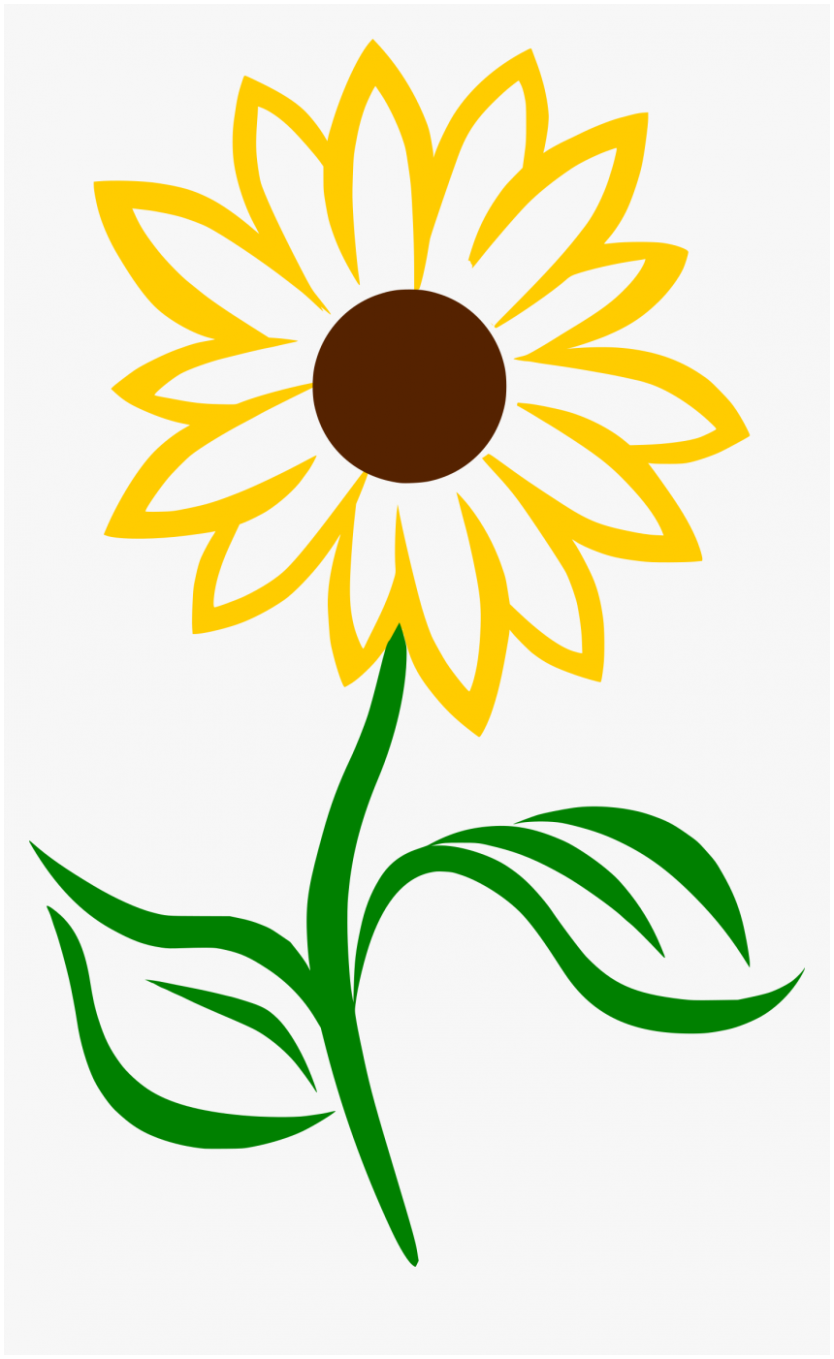The Real Reason Behind Simple Sunflower | simple sunflower | Sunflower