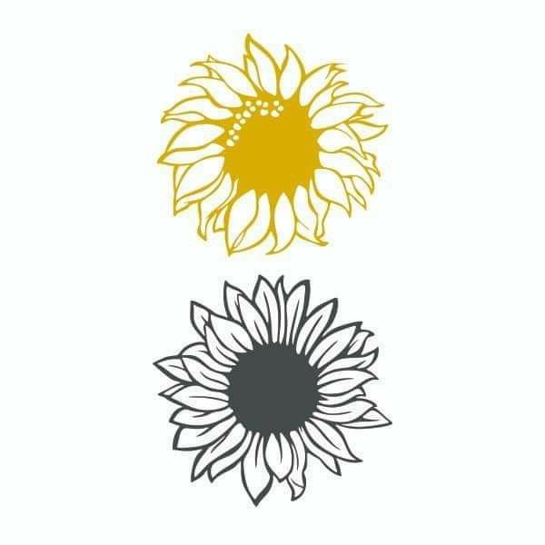 Pin by Brenda Habron on Cricut images | Sunflower illustration, Cricut