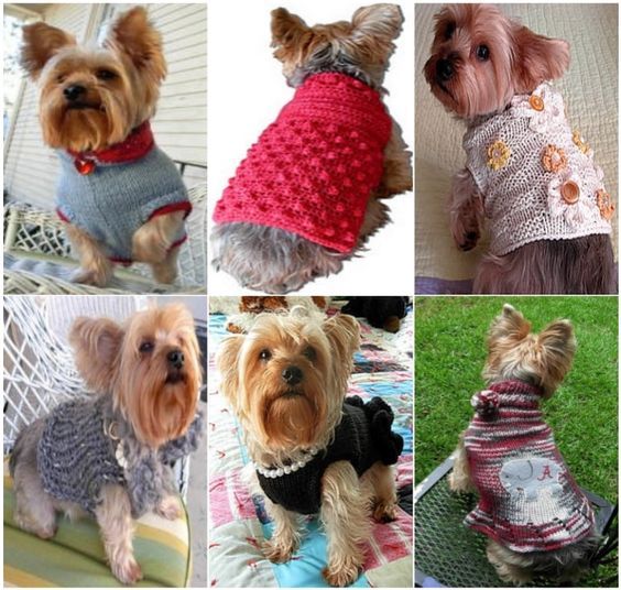 fbd1d2dee6358c87b56be512397d4886 | Crochet dog clothes, Crochet dog