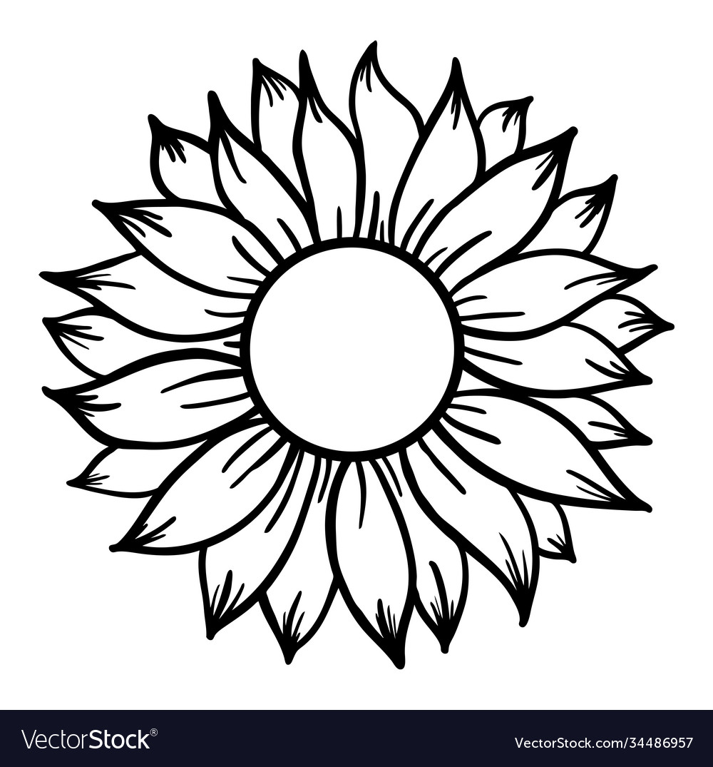 Free Free Svg Of Sunflower SVG PNG EPS DXF File - Download All Free SVG